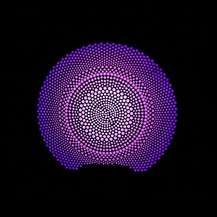 W213 Speaker Cover Ambient Light best